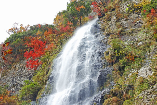 色付く季節11 紅葉の滝