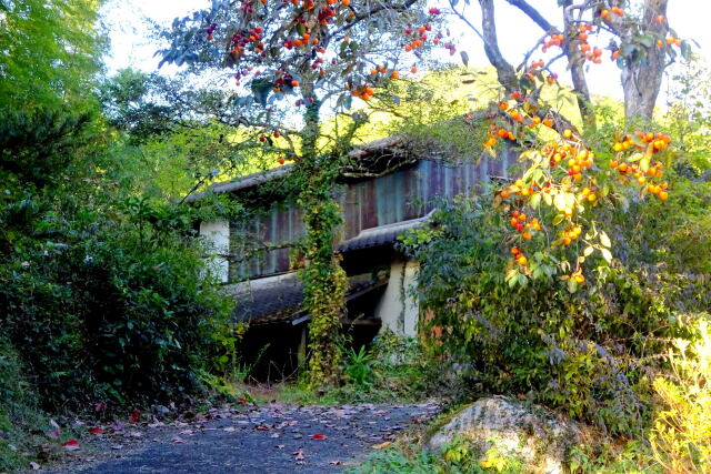 深まり行く山間部の秋