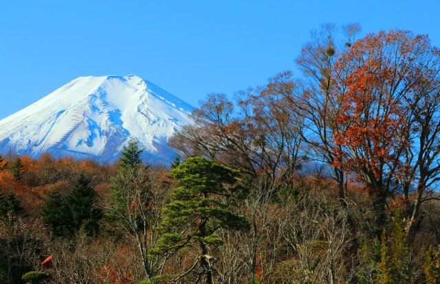 秋の忍野八海