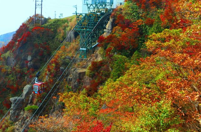 秋の御在所岳