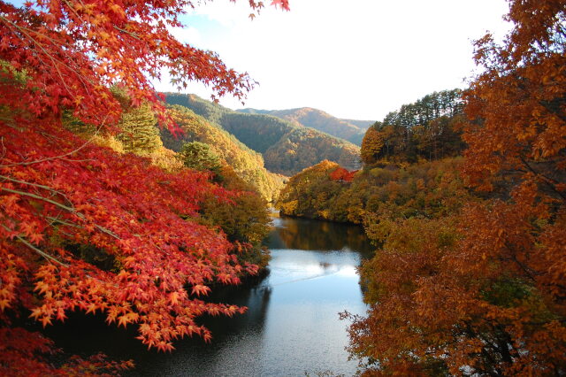 もみじ湖上流から