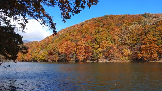 秋の長老湖