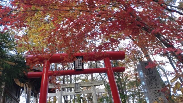 秋の萬蔵稲荷神社①