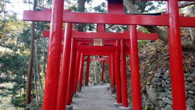 秋の萬蔵稲荷神社③