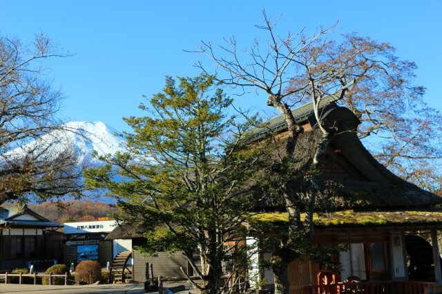 秋の忍野八海