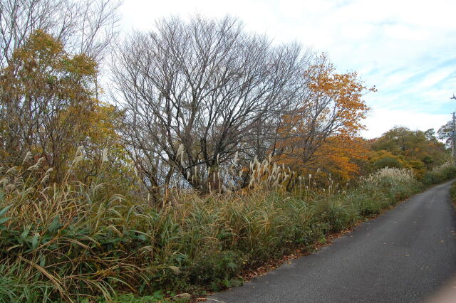 秋風が吹く山道を 2022年