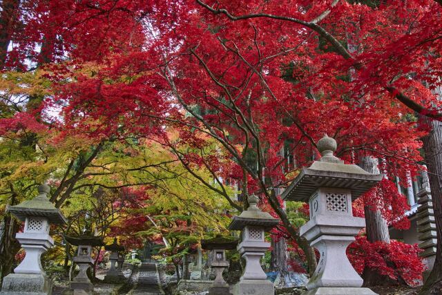 信州若穂の清水寺