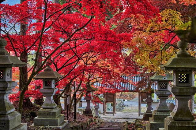 信州若穂の清水寺