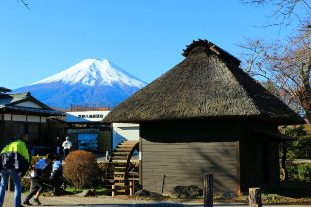 秋の忍野八海