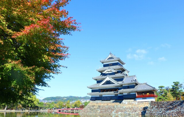 秋の松本城