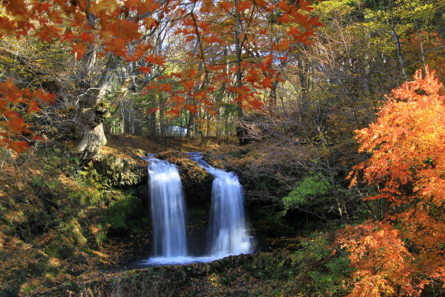 紅葉の風景