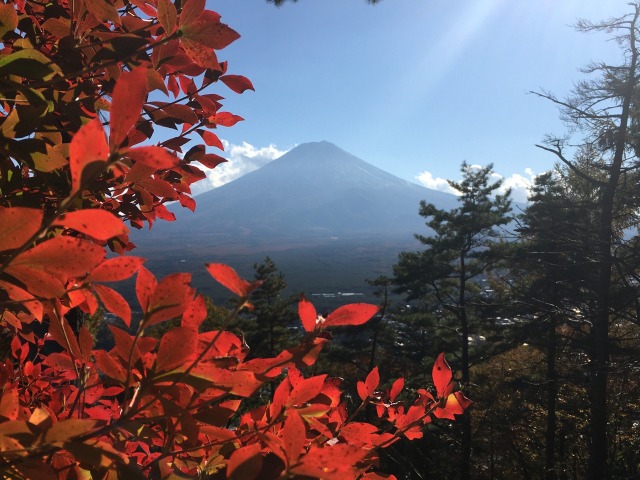 登山道からの景色