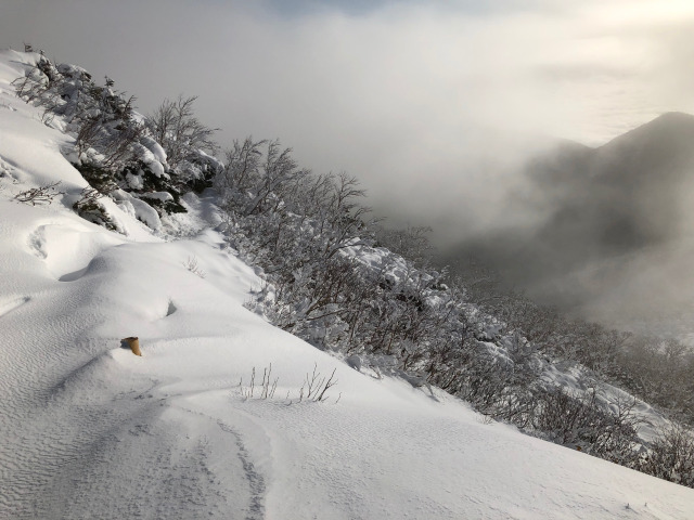 新雪