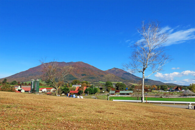 秋進む山 38 蒜山