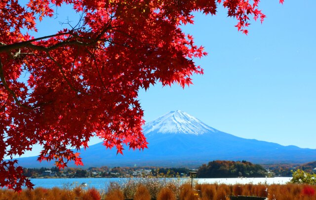 秋の河口湖