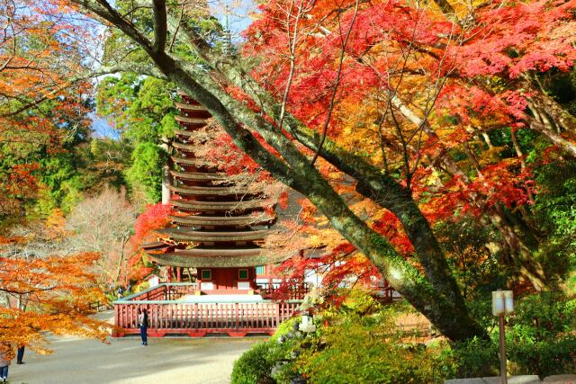 秋の談山神社