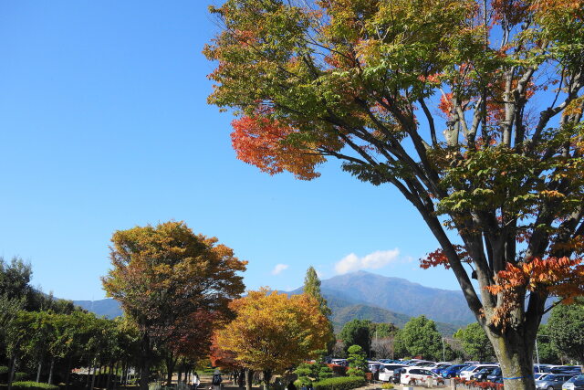 休日の公園②