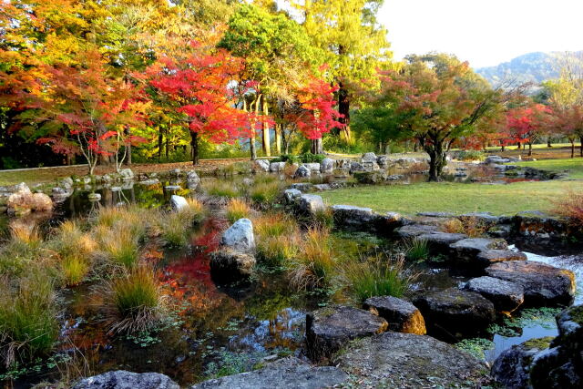 秋の彩り 公園の池