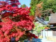 秋の室生寺