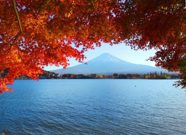 秋の河口湖