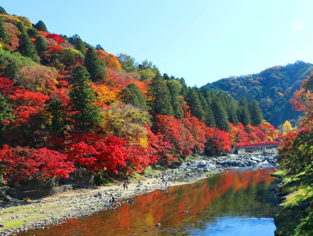 秋の香嵐渓