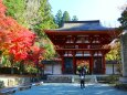 秋の室生寺