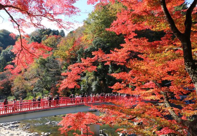 秋の香嵐渓