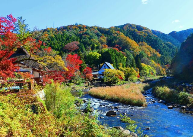 秋の香嵐渓