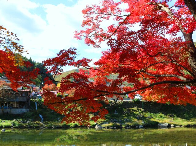 秋の香嵐渓