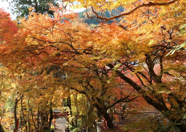 秋の談山神社