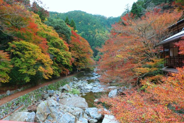 秋の京都高雄