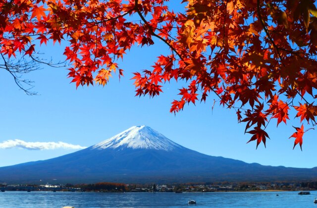 秋の河口湖