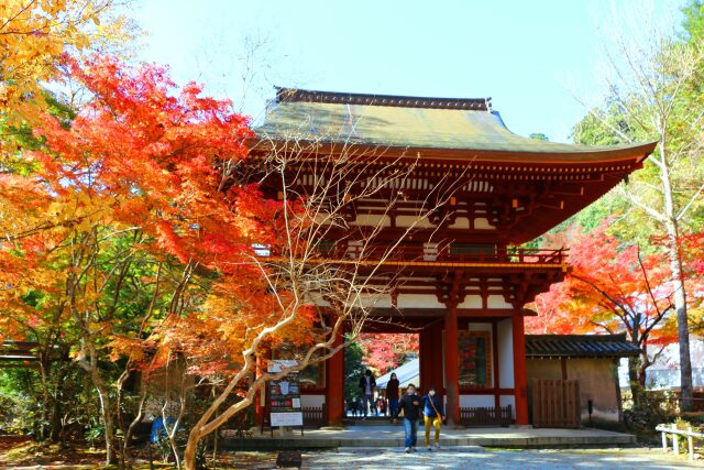 秋の室生寺