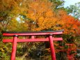 木の談山神社