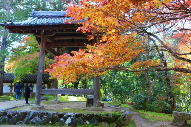 秋の京都高雄