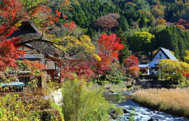 秋の香嵐渓