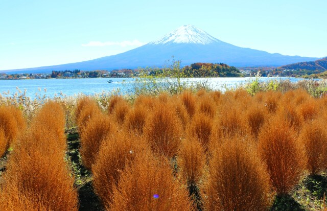 秋の河口湖