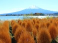 秋の河口湖