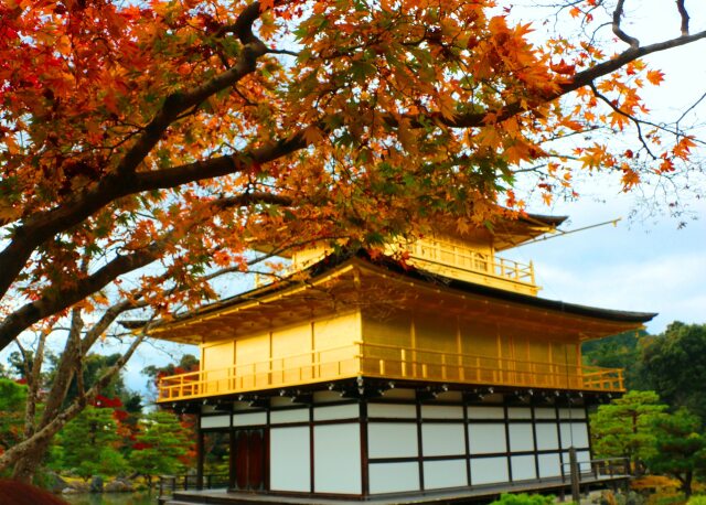 秋の金閣寺