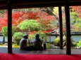 秋の正暦寺