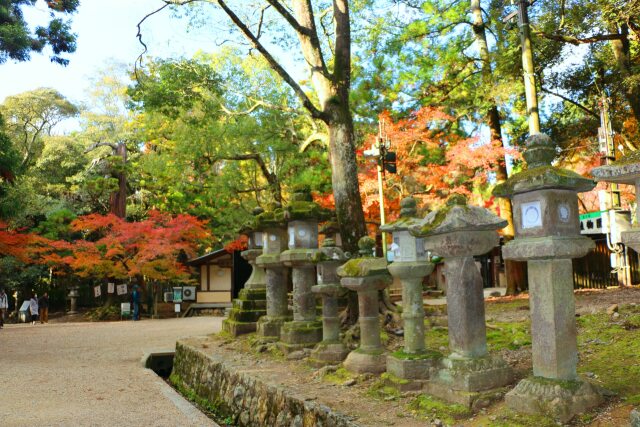 秋の春日大社