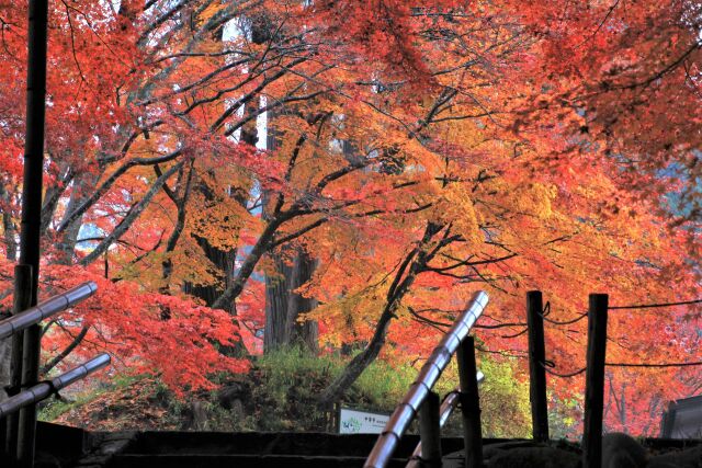 秋の平泉