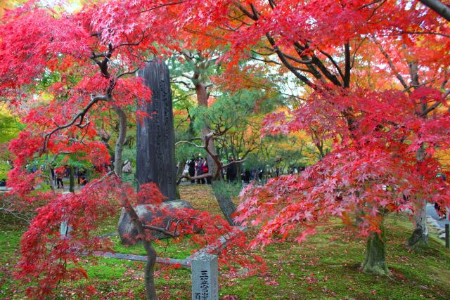 秋の東福寺