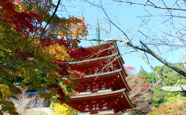 秋の奈良長谷寺