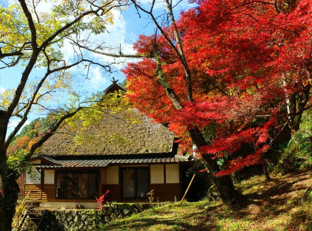 秋の香嵐渓