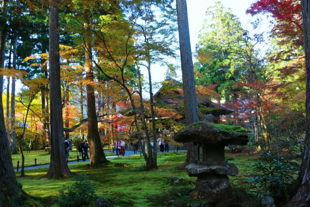 秋の三千院