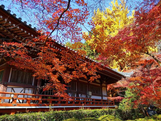 秋の醍醐寺