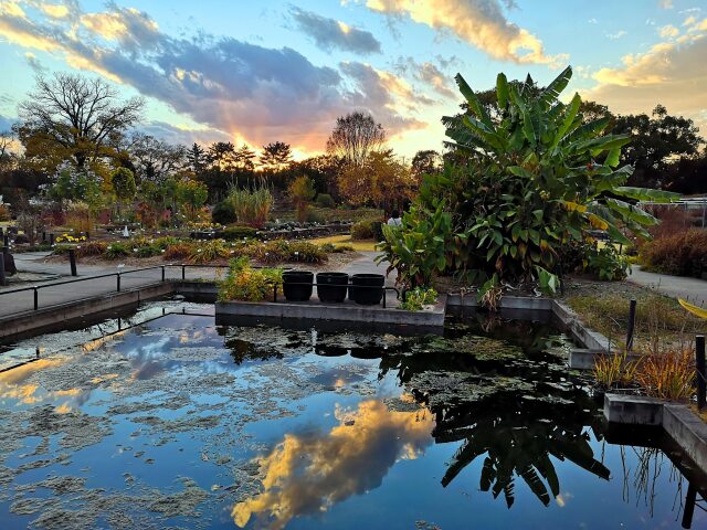 秋の京都府立植物園