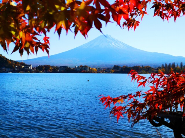 秋の河口湖