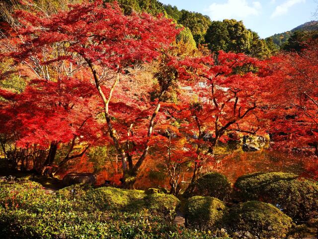 秋の醍醐寺